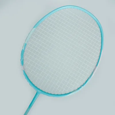 Hot Sale Factory Supply Super Light 4U Full Carbon Fiber Beginner Training Badminton Racket