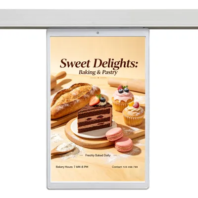 10.1" Full Color TFT Single-sided LCD Smart advertising player ESL 10.1 Inch Electronic Shelf Label Rail Powered DC For Store