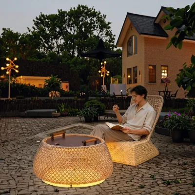 Solar-Powered Stainless Steel IP65 Waterproof LED Vine Lamp Side Table for Garden Outdoor Use Home Leisure Tea & Wine