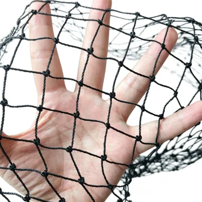 Whole Roll Bulk Supply Custom Anti Bird Net for Agricultural Planting Engineering Wholesale Orders