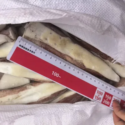 New Caught Whole Sale Price Giant Squid Tail 15cm+