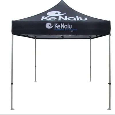 Factory 3x3m 10x10 Pop up Canopy Custom Tente De Camping Tent Outdoor Camping Durable Event Tents