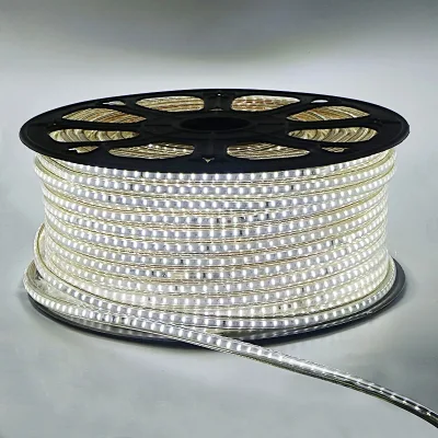 Waterproof 110v Led Strip Lights 220V 50m 100m Warm White Cool White RGB R/G/B 5050 2835 Led Strip Light