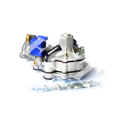 FCT Cng Engine Direct Injection Reducer At09 lpg Reducer Pressure Regulator for Convereion Kit for Dual Generator