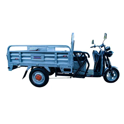 Dayun Electric Cargo Tricycle 1000w Tricycle Cargo Electric Motorcycle Tricycle Bicycle for Cargo