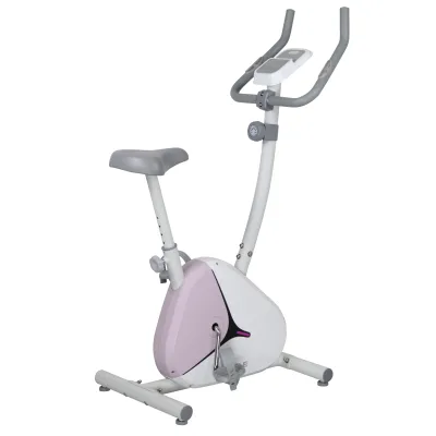 Gymbopro Indoor Cycle Exercise Bike Spinning Magnetic Exercise Bike for Home Gym