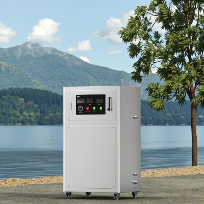 10g 20g 50g Cold corona Discharge Quartz Ozone Machine Agriculture Fish Farm Water Machinery Equipment Ozone Generator