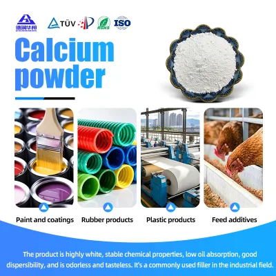 Chemically Stable CaCO3 Powder REACH Compliant RoHS Compliant Paper Making Rubber Filler Calcium Carbonate Powder
