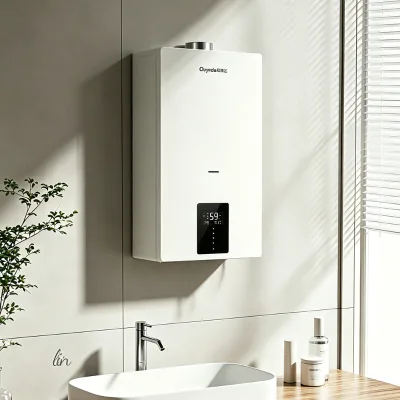 20KW Wall Mounted Combi Gas Boiler Variable Frequency Fan Pump 24 Safety Functions CE Certified for Villa Underfloor Heating