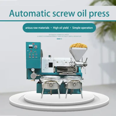 Bulk Processing Screw Oil Press Large Output Efficient Extractor for Walnut Sesame Seeds
