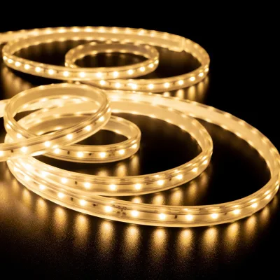 Manufacture Direct Sales Long Tape Lamp IP65 Ktv bar Stage Decorate 120led 2835smd Monochrome Strip Light Flex Waterpoof