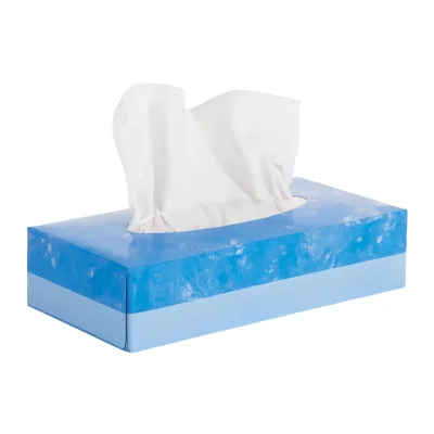 OEM Customized 2 Ply Box Tissue Facial Tissues-Eco-Friendly Antibacterial Luxury Disposable Wood Pulp Soft Premium Bulk