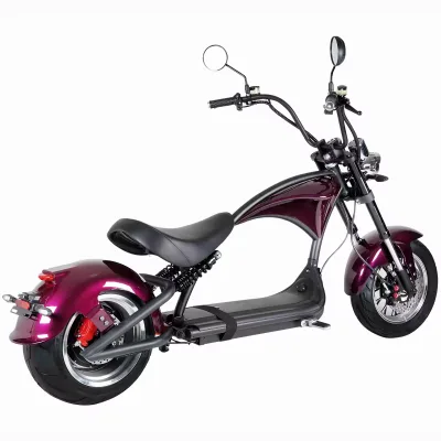 Eec Coc Classic Hot Selling 2 Wheel Electric Scooter Citycoco 2000W 3000W Cheap Price Motorcycle