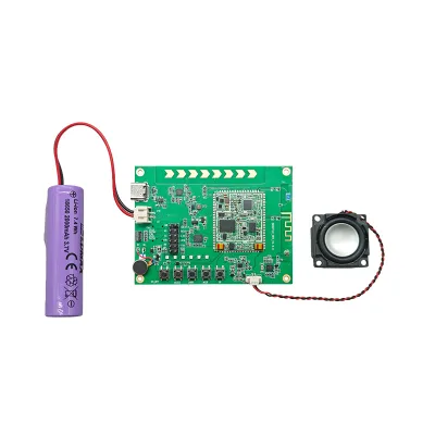 Portable Interview Recorder Development Kit with 2000mAh Battery NFC and Omnidirectional Microphones