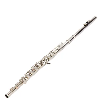 Good Quality Nickel Plated E Key C Tone Close Hole 16 Holes Recorder Flute Music Instrument for Beginner