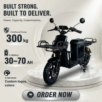 60V 1500W Electric Cargo Scooter, Compatible with Cold-weather Batteries, Reliable Components, Low-temperature E-bike