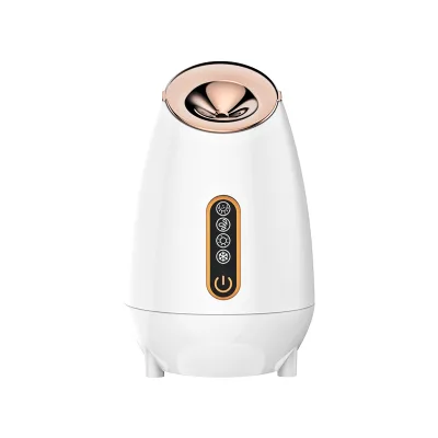 Factory Price Nano Ionic Facial Steamer Self Care Rejuvenate Warm Face Steam Hydrating Machine Electric ABS Spray Nano Water