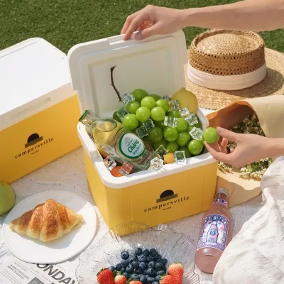 5L Brand-New Insulated PU White Cooler Box With Handle For Camping