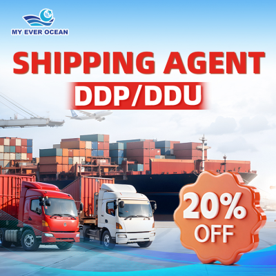 Fast Delivery International Logistics DDP DDU Door to Door Air Express Sea Shipping Cost Freight Forwarder