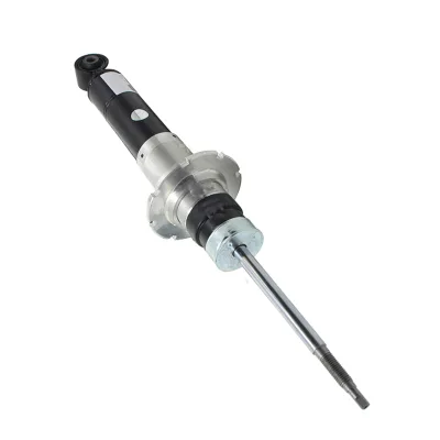 Suspension Shock Absorber Strut OEM 255863 255864 289729 Auto Parts for Ferrari 430 F430 360