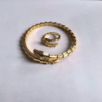 Hot Selling European and American Style Snake Bracelet Ring Set