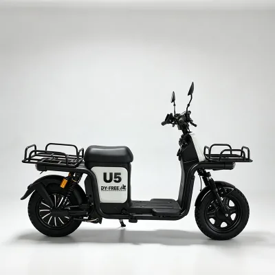 Customizable Heavy Load 200KG 3-Speed Carbon Steel Frame Electric Cargo Bicycle 60V Large Battery Warehouse Transport Food