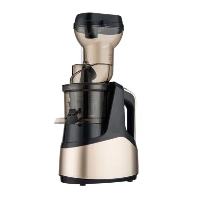 Large-Caliber Low-Speed Multi-Function Juicer Blender New Electric Fruit and Vegetable Juice Extractor for Household Use
