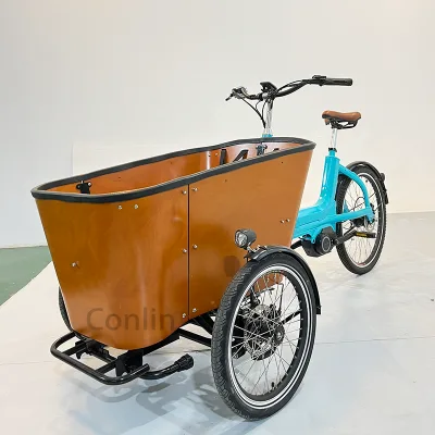 Wheel Family Electric Cargo Bike Children Cargo Tricycle 250W Motor Powered With 36V Lithium Battery Rear Carrier Position
