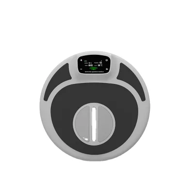 High Power Portable EMS Chair for Home Use Standing Type Pelvic Floor & Vaginal Tightening Postpartum Skin Repair US/IT Plugs