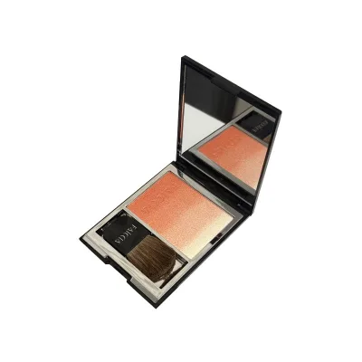 Wholesale Fine Powder Texture and Natural Color Rendering FAICCIA Gradient Blush