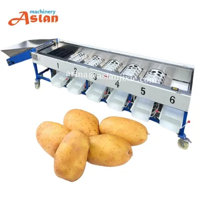 Potato Tomato Peach Orange Sorting Machine Crispy Dates Olive Garlic Sorter Classifier Grading Size Grader Machine