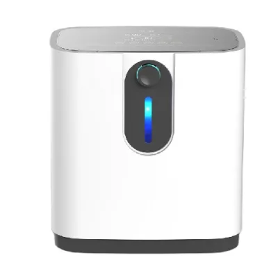 Factory Supply Best Price Car Travel Use 1L Oxygen Concentrator Concentrador De Oxgeno Portable Oxygen-concentrator Prices