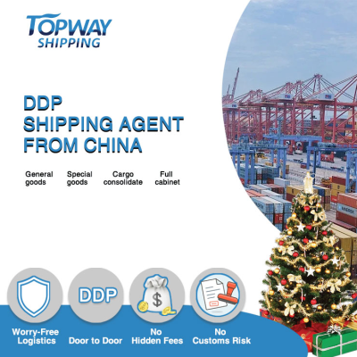 Forwarder China Shipping to Usa Australia Canada Shipment-Tracking