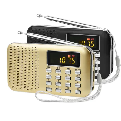 Dewant L-218 Shenzhen Long Antena Radio Receiver, Hot Selling in Thailand, USA, Canada, Japan, Korea