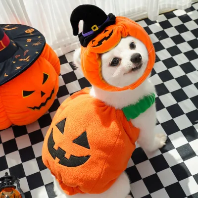 Autumn Winter Dog Halloween Christmas Pumpkin Lantern Transformation Outfit Funny Cat Two Legged Pet Teddy Dog Clothes
