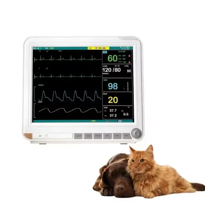 Express Portable Patient Monitor Icu Parameter Patient Vital Signs Monitor
