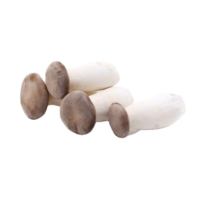 Detan Fresh King Oyster Mushroom