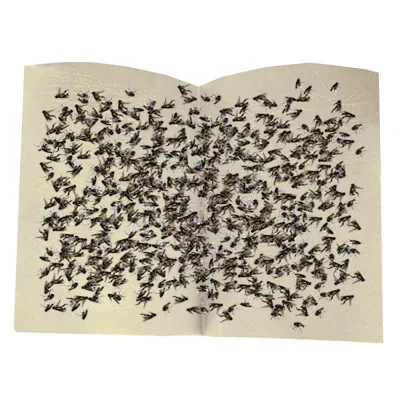 Wholesale Eco-friendly Pest Control Products Glue Fly Trap Flycatcher Trap for Restaurants Caterers Canteens Use