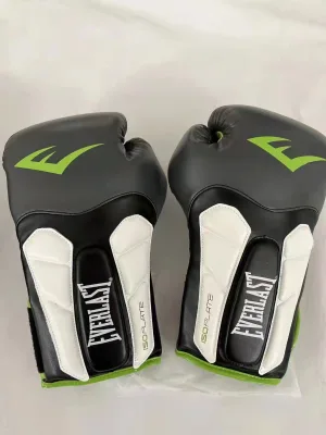 Wholesale Manufacture Martial Arts Muay Thai Everlast Boxing Gloves