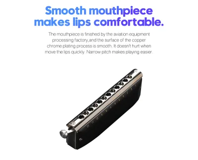 Professional 12-Hole Harmonica - Key of C, High Quality Mouth Organ, Black, Smooth Playing The tone is absolutely wonderful