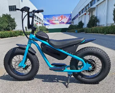 DOMANCA Outdoor Play 2 Wheel Kids' Scooters 500w 750w 13ah Lithium Battery 16*4.0 Fat Tire Powerful Mini Ebike