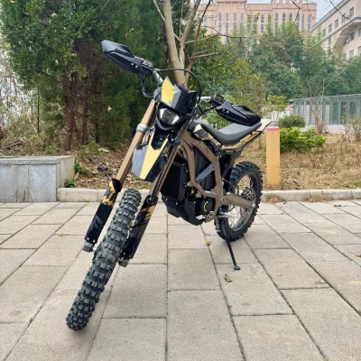 2025 New Color Scheme 21KW Ultra Bee Off Road Version Electric Bike 95 km/h Electric Motorcycle Electric Dirt Bike 74V 60Ah