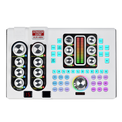 2024 SX98 Professional Audio Interface With Noise Cancelling Multiple Effects for Live Sound and Streaming