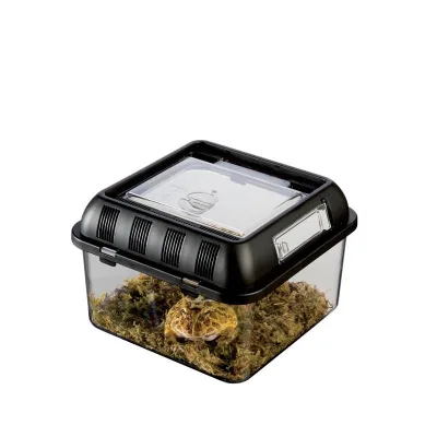 Durable Plastic Terrarium Enclosure Cages Breeder Box Hatching Container for Insects Reptiles Amphibians