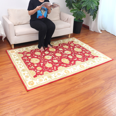 Washable Stain Resistant Printing Style Carpets Living Room Anti Slip Foot Mats Large Size Rugs