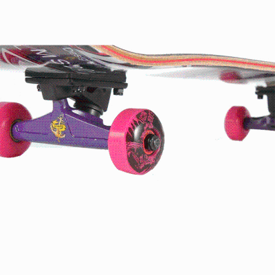 Adult Skateboarding Waveboard Street Board Rubber Wheel Skateboard