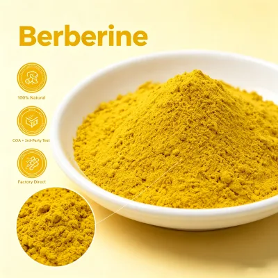 BCI High Absorption Berberine Supplements Berberine HCL for Healthy Products