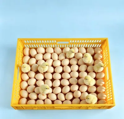 Universal Yellow Detachable Hatching Basket Matching Desktop Double Layer Poultry Incubation Equipment