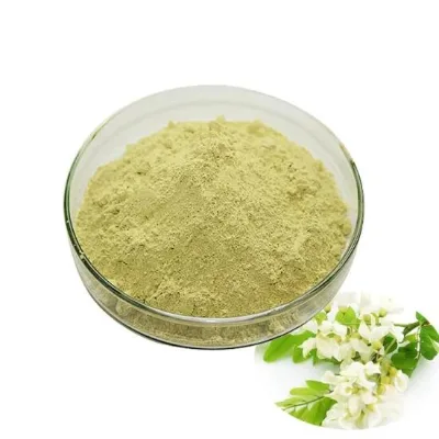 Strong Product Factory Direct Supply Quercetin Powder Quercetin Extract 98 in Bulk