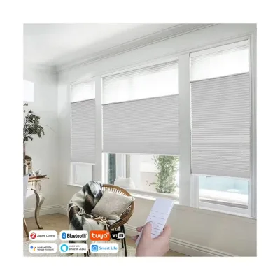Professional Customized Noise Reduction Dual Motors Fast Running Speed Built in Day and Night Honeycomb Blinds for Window